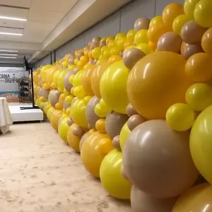 Balloon Wall 4